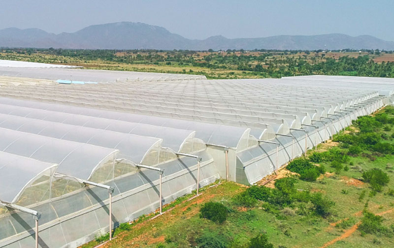 Selecting The Right Cladding Material For Greenhouses-GreenPro