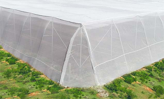 GreenPro-Anti-Insect-Net-at-Best-Prices
