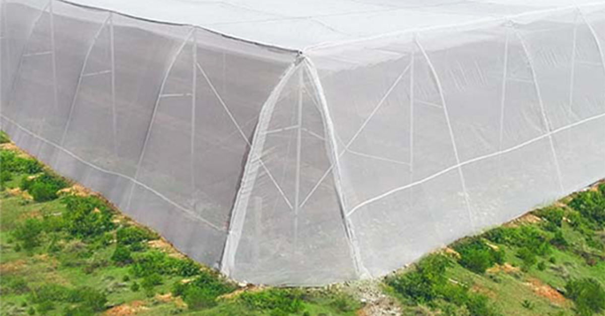 GreenPro-Anti-Insect-Net-for-Greenhouse