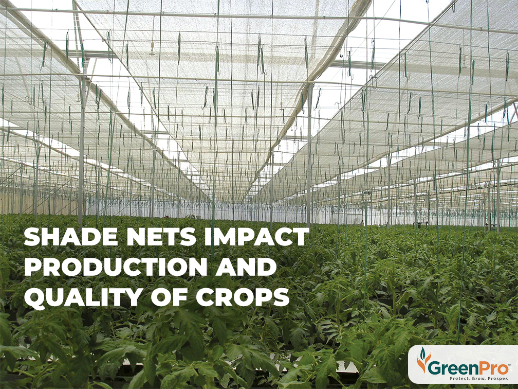 Shade Nets Impact Production And Quality Of Crops