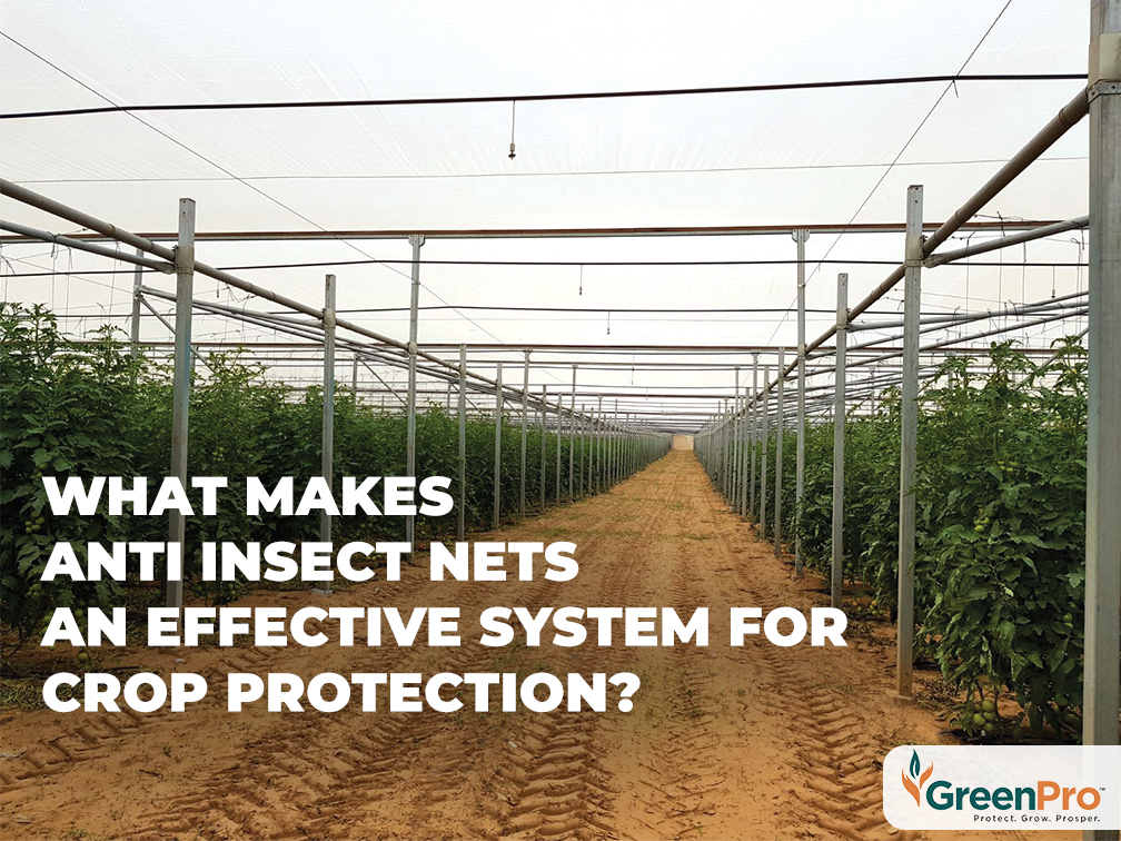 What Makes Anti-Insect Nets An Effective System For Crop Protection?