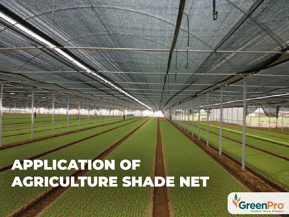 Application Of Agriculture Shade Net