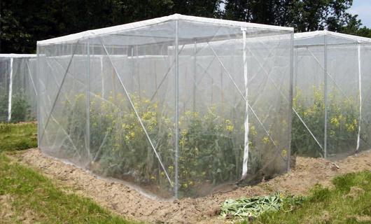 GreenPro-ventures-Insect-Net-cage