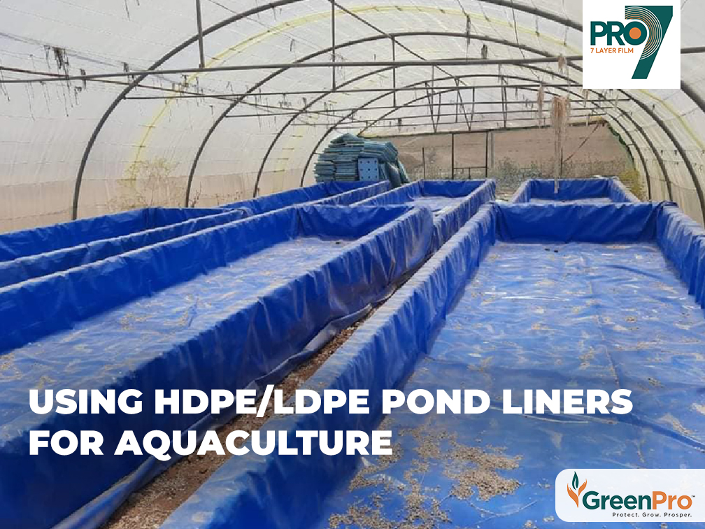 Using-HDPE-LDPE-Pond-Liners-for-Aquaculture-GreenPro