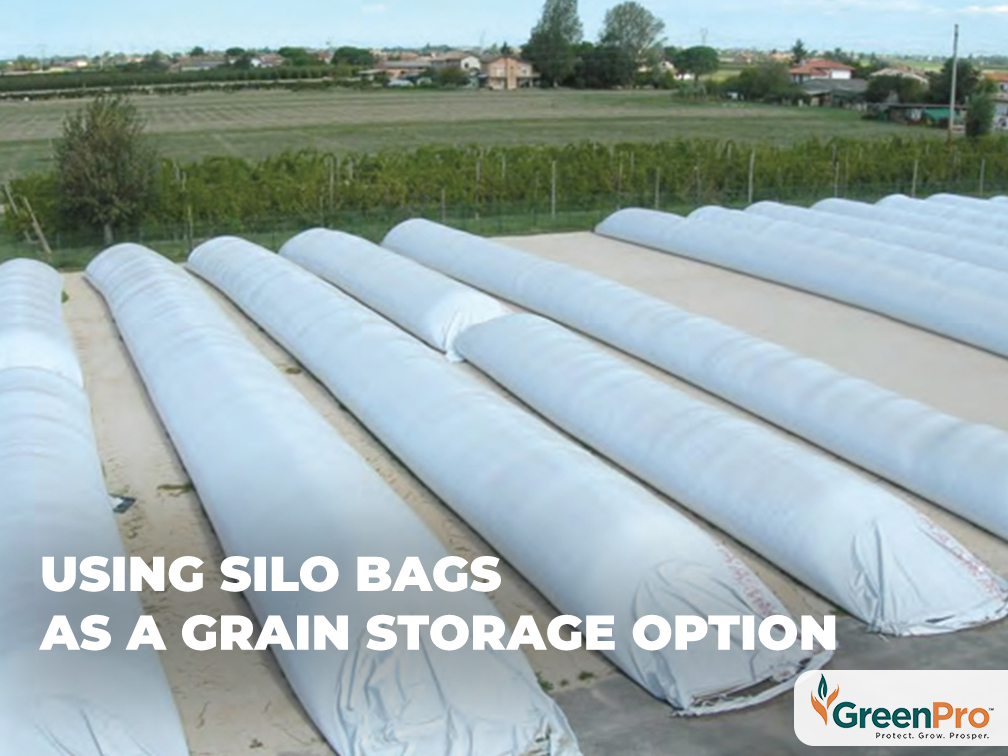 Using Silo Bags As A Grain Storage Option