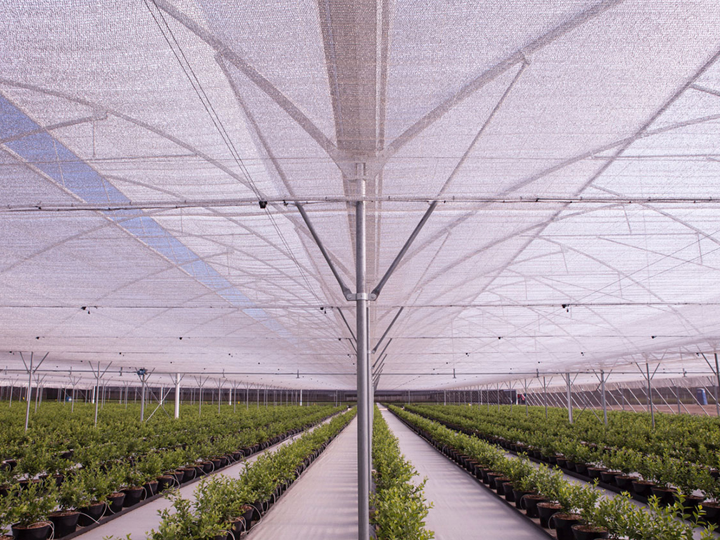 Application Of Reflective Nets In Agriculture