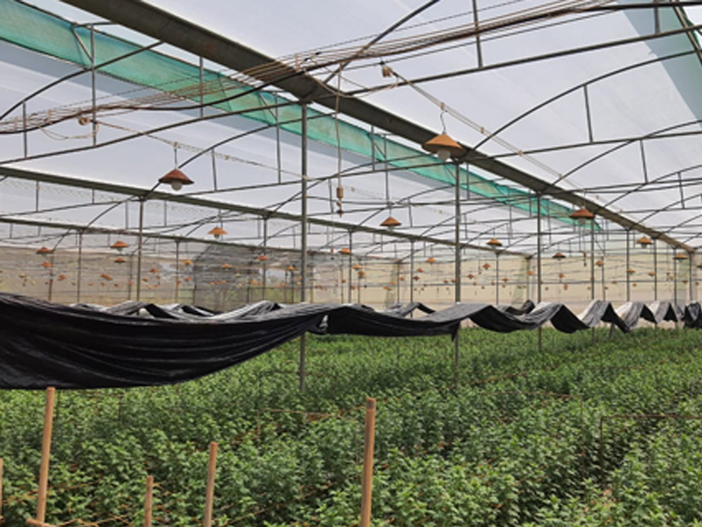 GreenPro Ventures Woven Greenhouse Covers The Ideal Shelter Fabric-GreenPro Ventures