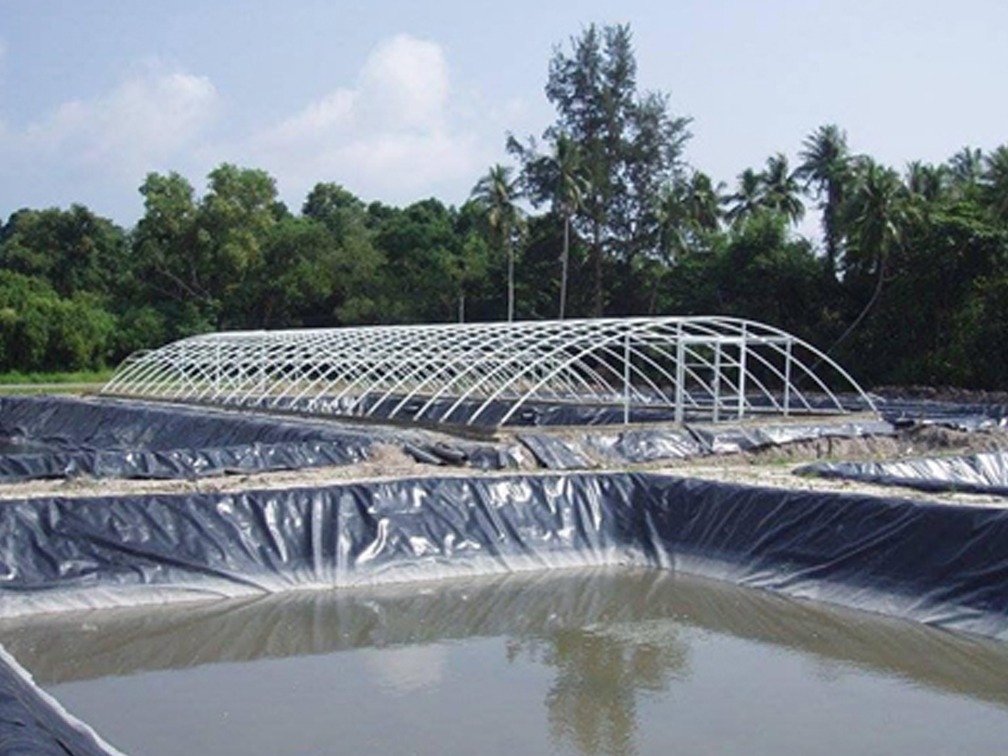 Efficient Water Management In Plant Care: Unveiling The Science Of Hydro-Mat Technology