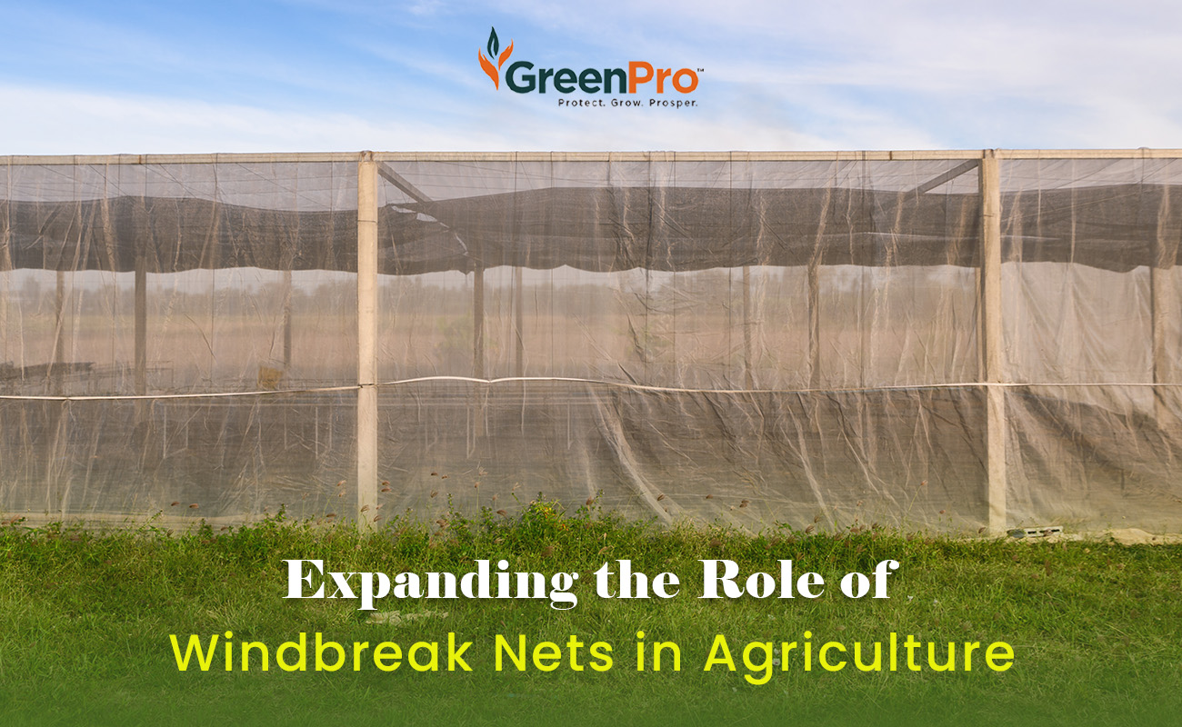 Windbreak Nets_Greenpro Ventures