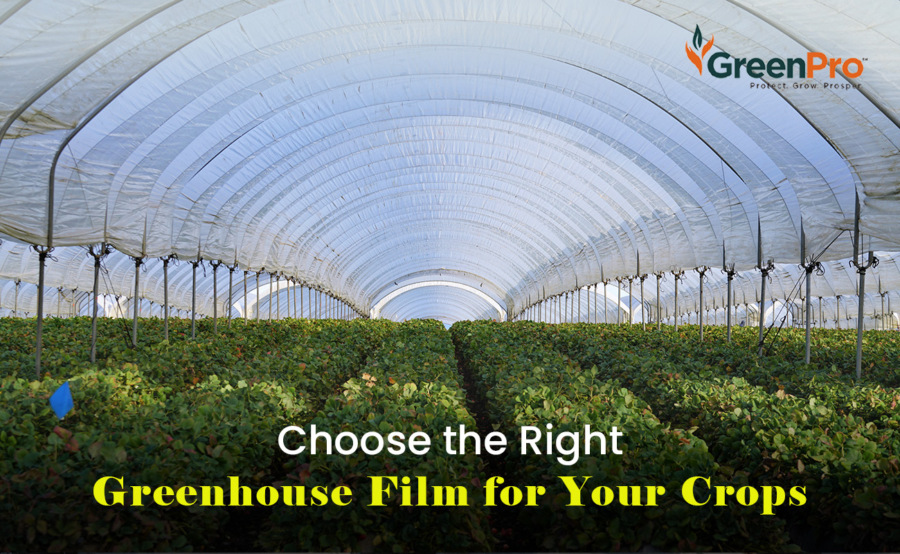 Greenhouse Plastic Film