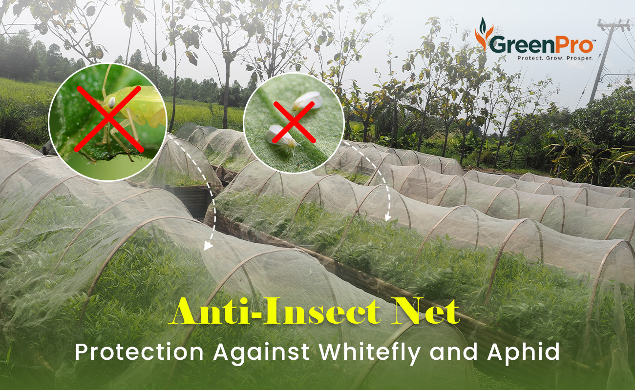 Anti-Insect Net