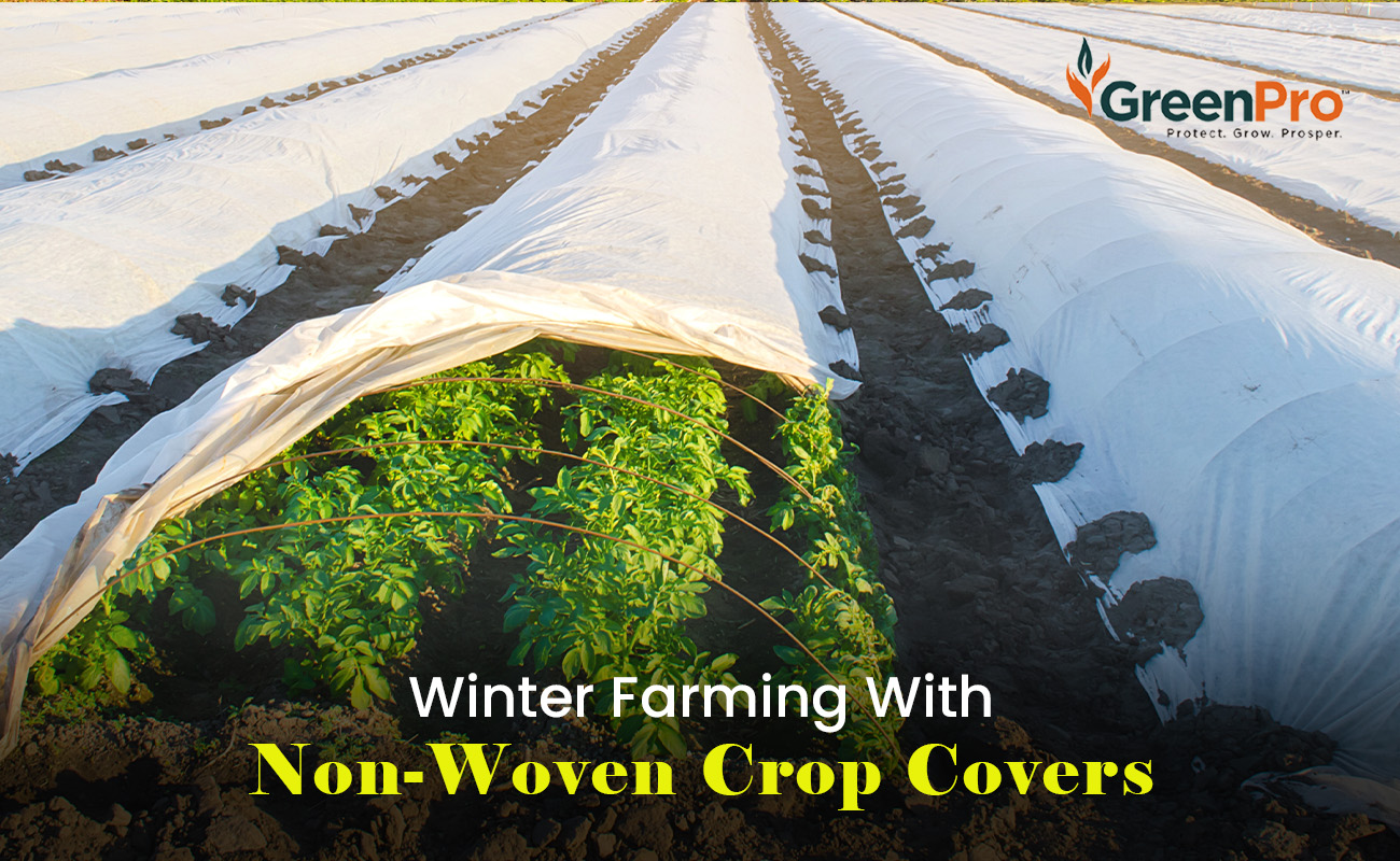 Non Woven Crop Covers