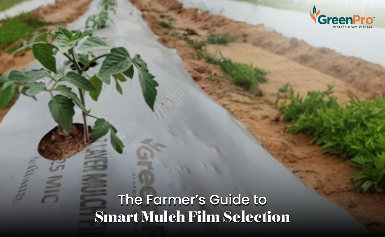 Why Choosing The Right Mulch Film Thickness Is A Business Decision