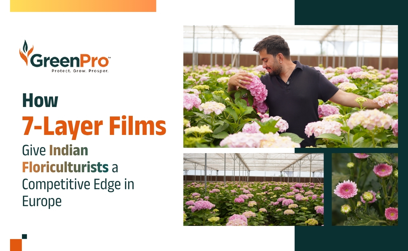 Greenhouse Films