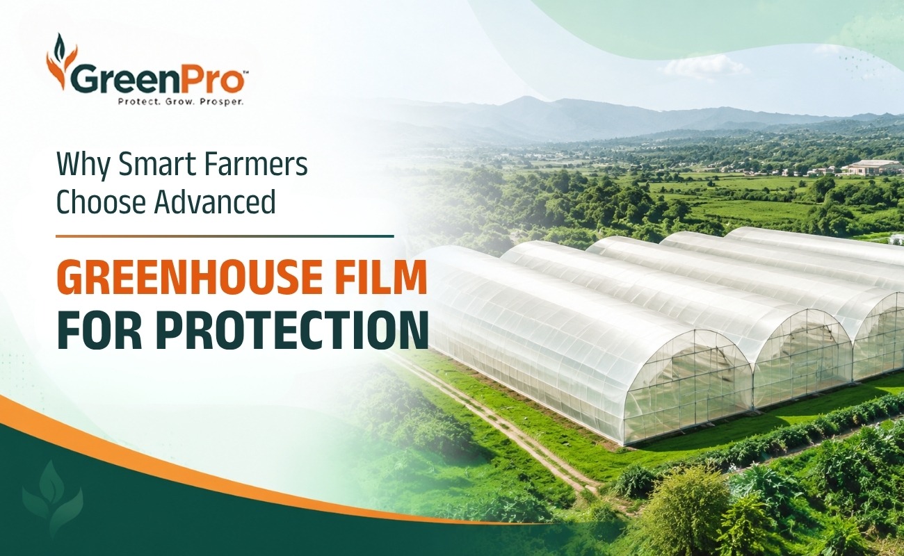Greenhouse Films_GreenPro Ventures