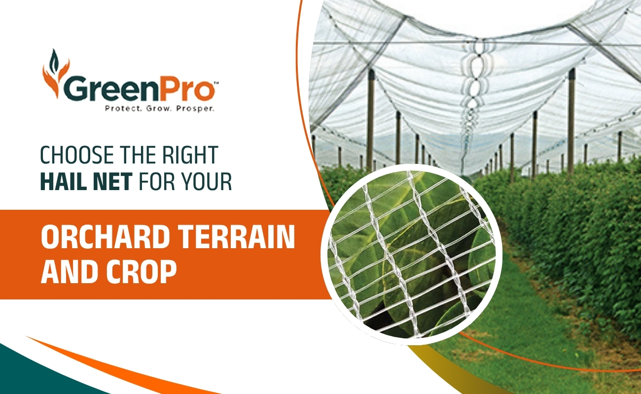 Stop Weather Worries: Why Your Orchard Needs Anti-Hail Protection Now