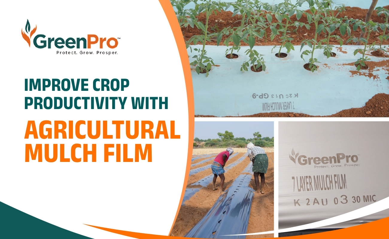 How To Increase Vegetable Yield Using Agricultural Mulch Film