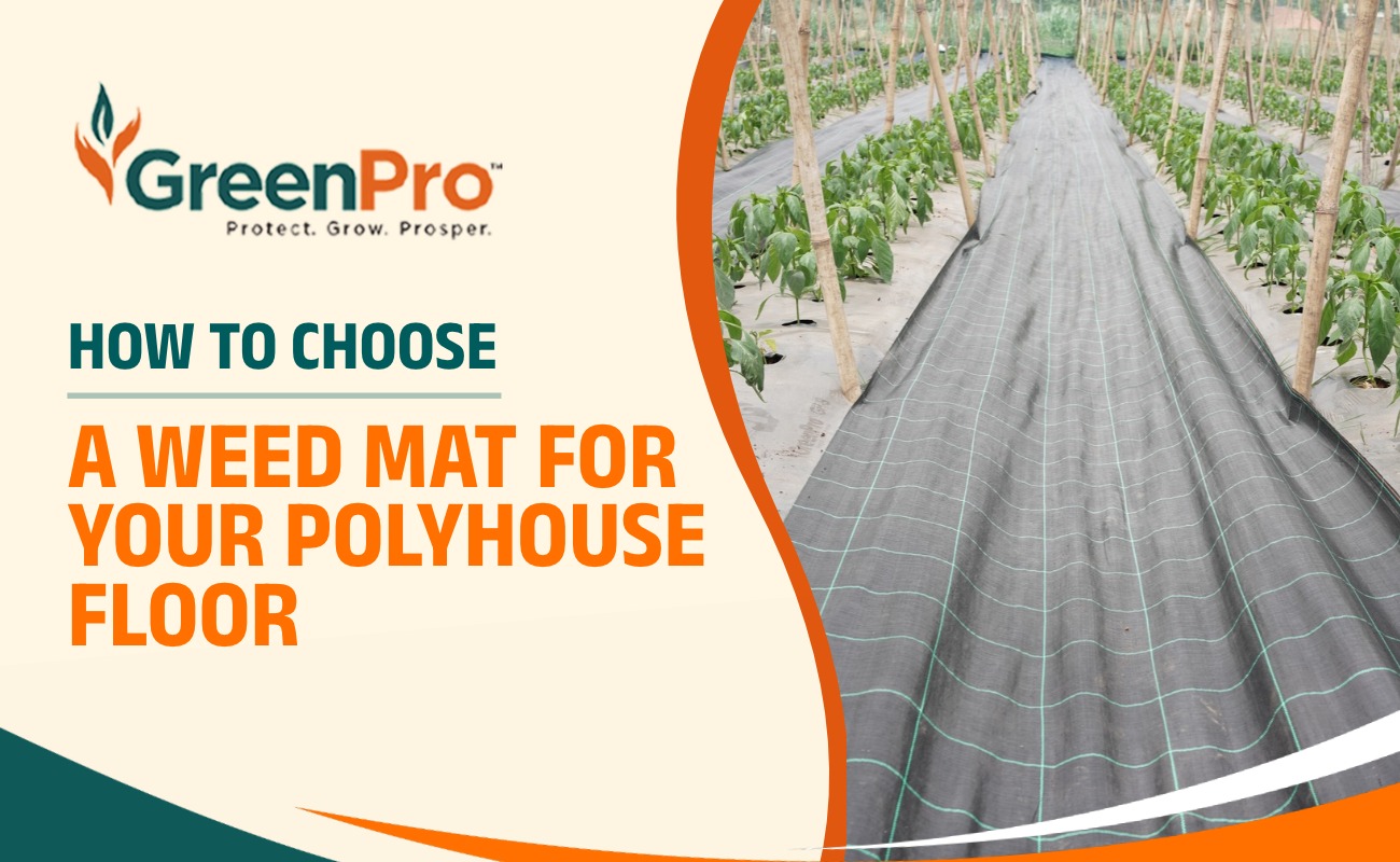 Weed Mat for Poly House Use